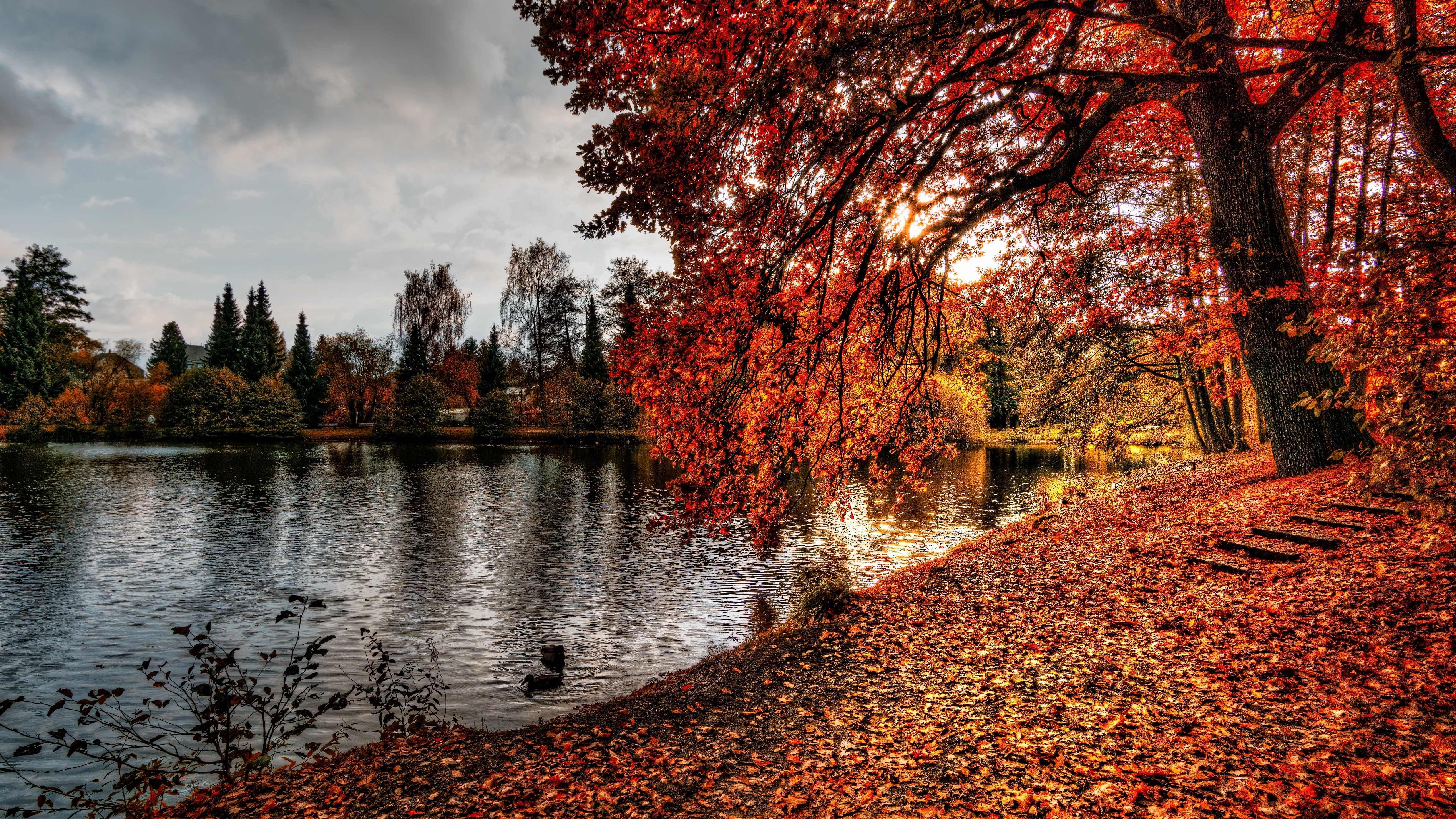 about autumn section